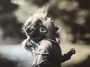 thumb_IMG_5726_1024 2